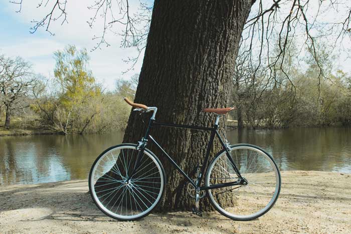 Best Single Speed Bikes Buying Guide