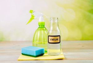water bottle cleaning: Using white vinegar