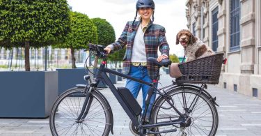 how to ride a bike with a dog in a basket